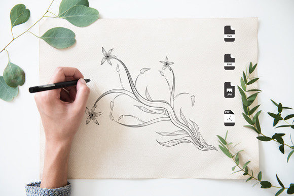 A Brand Designer’s Review of Botanical Coloring Pages Amp Graphics