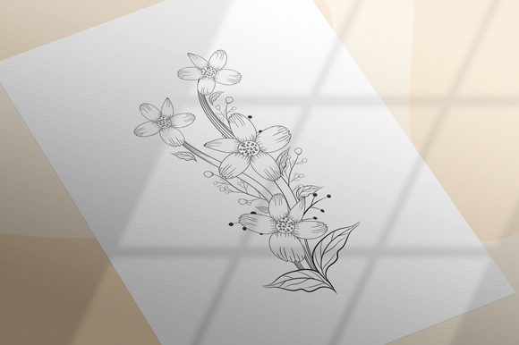 Reviewing a Hand Drawn Floral Graphics Bundle for Coloring Pages Amp