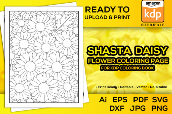 Shasta Daisy Flowers Kdp | Graphics & Coloring Pages Amp